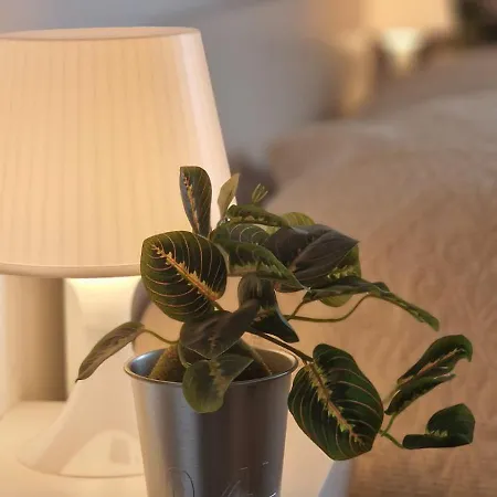 펜션 Quartu Sant' Elena Casa Stella Marina *